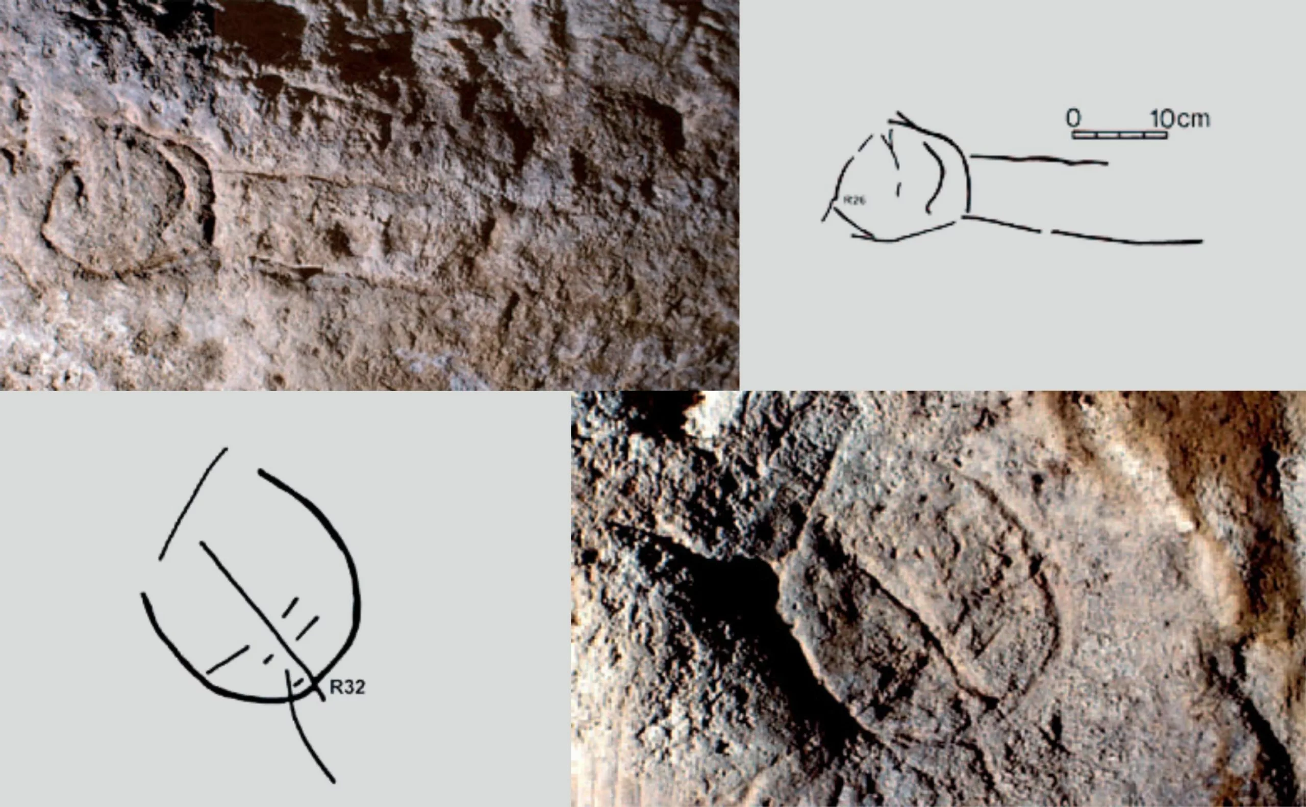 gravures-vulves-penis